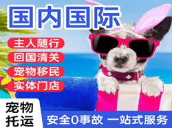 十堰武当山机场物流国际宠物托运 【国